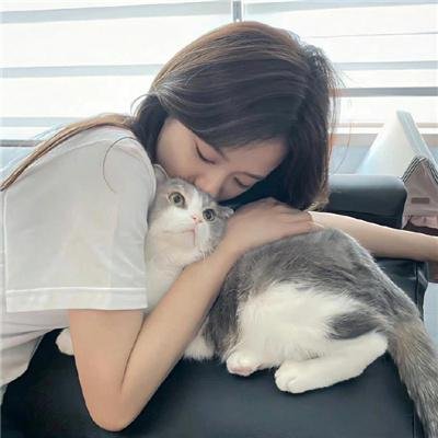 上流秘笈